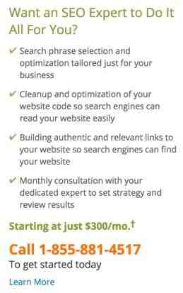 How much does a SEO expert charge?