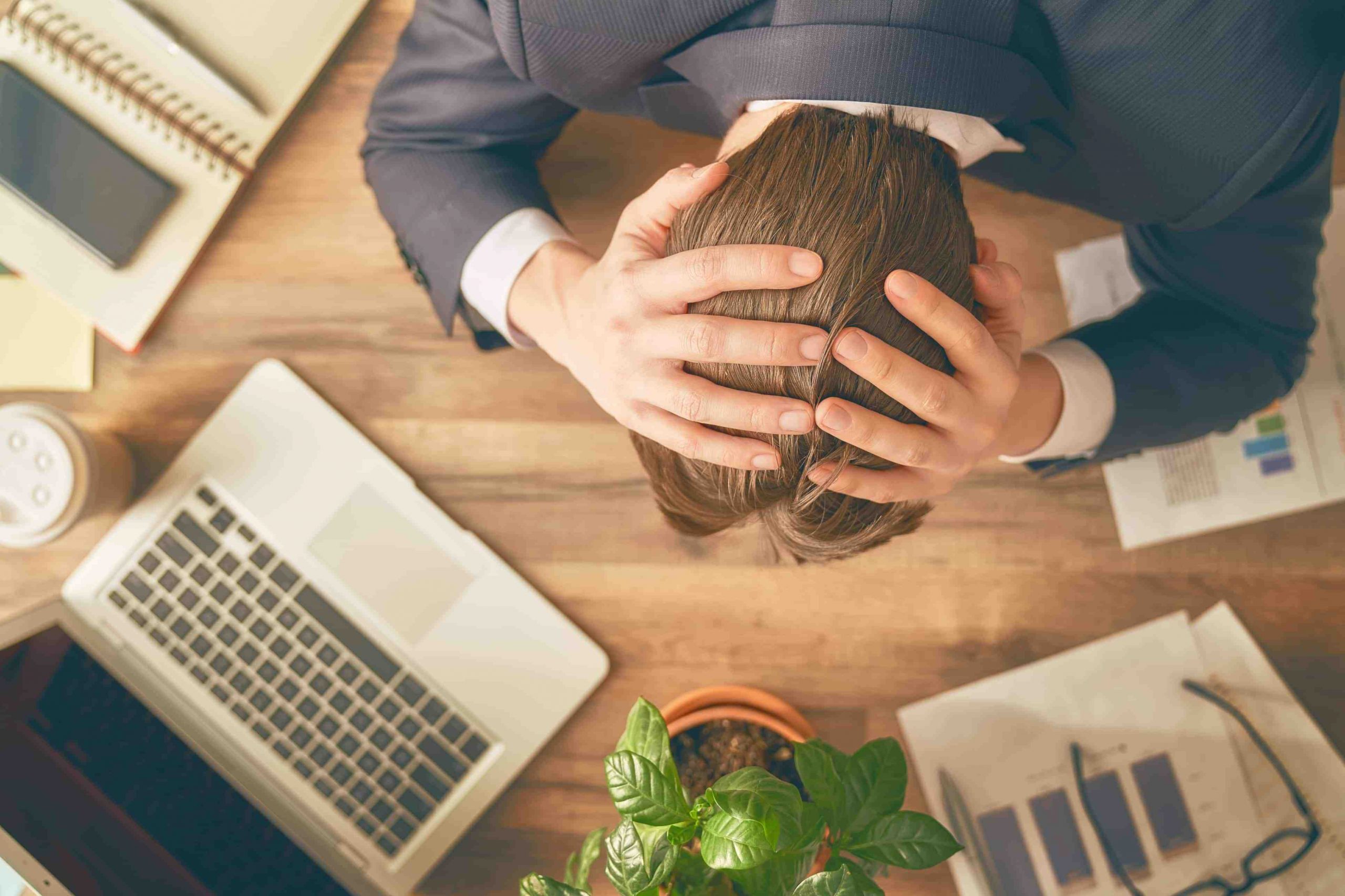 Why is SEO expensive?